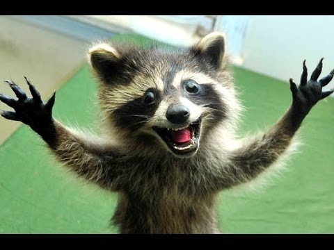 Костюм из газет Костюм из газет