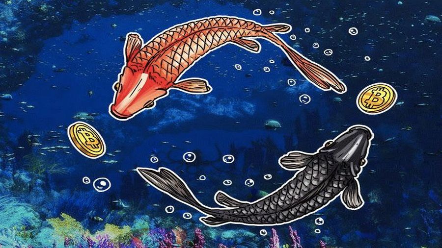 010617_kitaiskie-birzhi-otkrili-vivod-bt