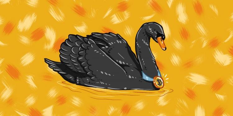 040116_chernii-lebed_1_4327ba15a670f7343