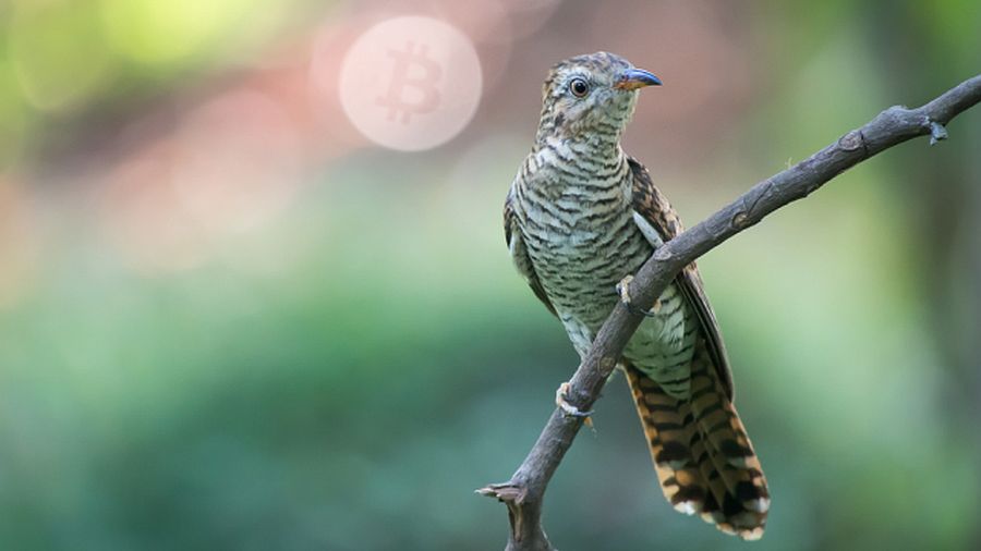 060217_cache-i-verifikaciya-blokov_1_f6a