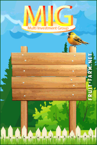 200x300_cd2c05e93e852d02c82e4c3d2ff8978f