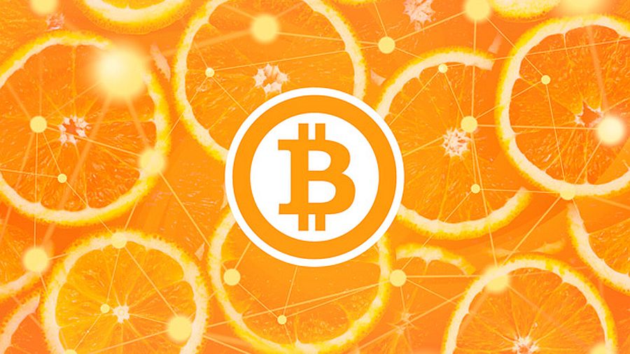 210217_citrus-prinimaet-bitcoini_1.jpg