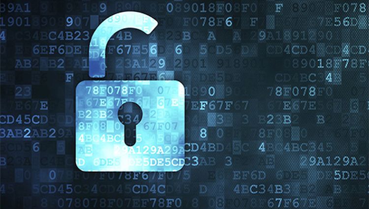 210316_novii-ctb-locker-4-wordpress_1_7f