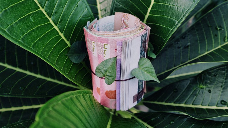 270717_kak-poluchit-besplatnie-altcoini_