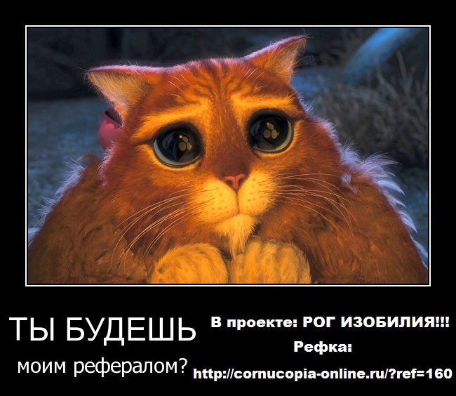 Толстый кот из шрека