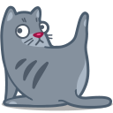 cat_clean_81080a1a526c533a229643d6677a2e