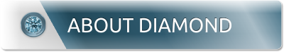 dmd_banners_head_1_1_400_2_aboutdmd_dc52