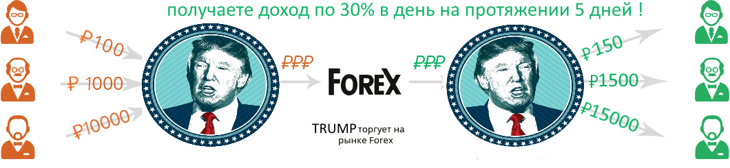 leodex_2200542cff360c8572e7bfea6f32315d.