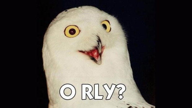 o-rly-owl.jpg