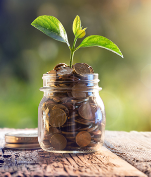 serv-img6_f1c1c9af1529b6ea2a6bda8d2d4ac7