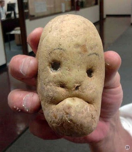 1288557213_potato-face.jpg