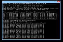 1b1f2618918dt.jpg