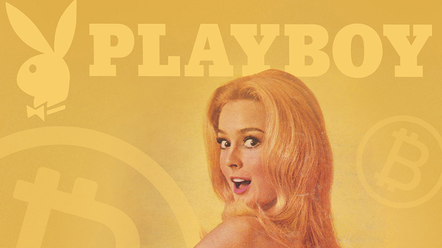 Playboy мультивалютный кошелек