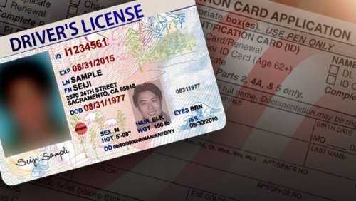 Австралийский штат использует блокчейн для оцифровки водительских прав