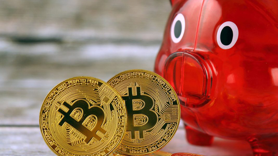 Сатоси в президенты