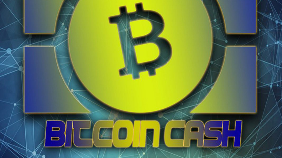 Амори Сечет Bitcoin Cash
