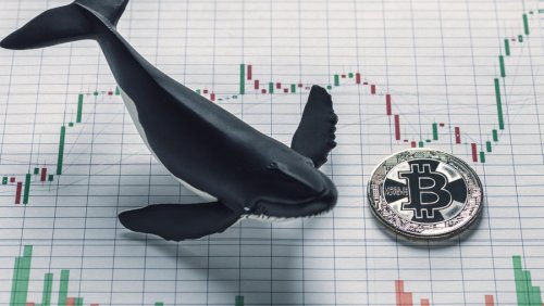 «Биткоин-киты» значительно пополнили запасы BTC и BCH за последние два месяца