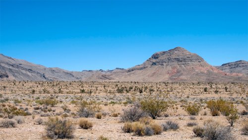 Blockchains LLC построит криптогород в пустыне штата Невада