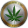 cannabiscoin.png