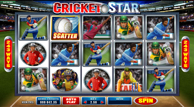 cricket-star.png