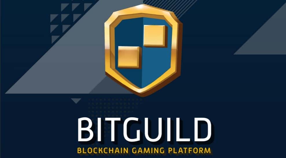 Картинки по запросу BitGuild