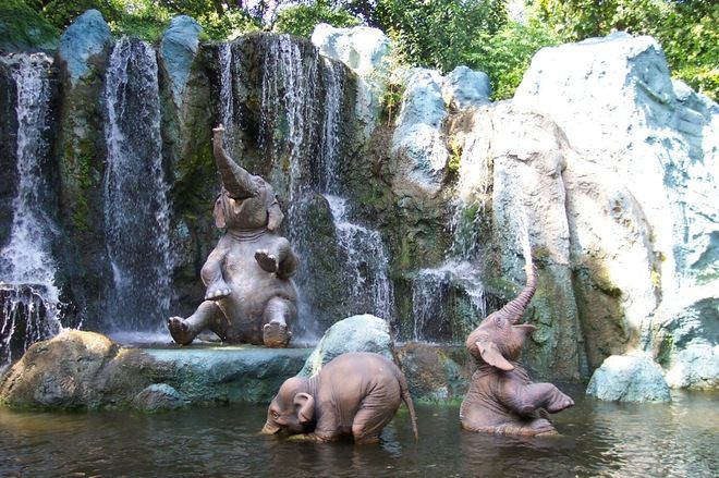 elephants-thumb-660x439-3093.jpg