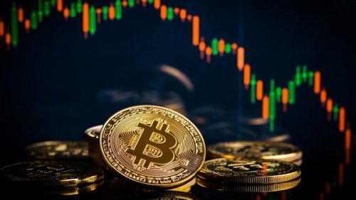 Глава CoinList: «2019 год станет годом развития криптовалютной индустрии»