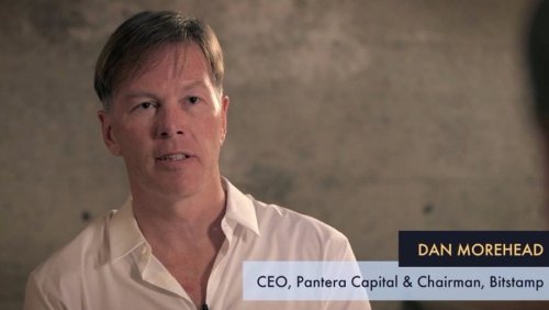 Глава Pantera Capital: «фундаментальные факторы криптовалют заметно усилились»