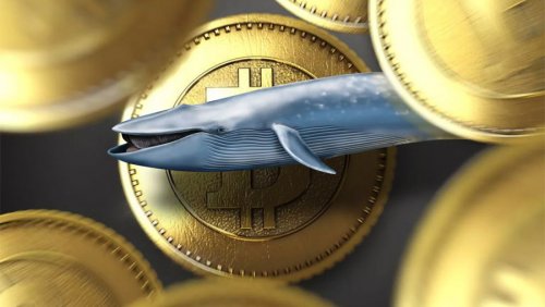 Исследование: «биткоин-киты» стабилизируют криптовалютный рынок