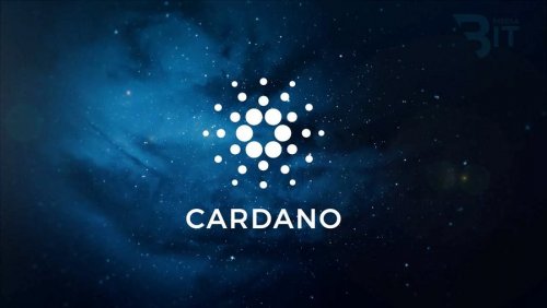 Подлинность кроссовок New Balance можно будет отследить через блокчейн Cardano