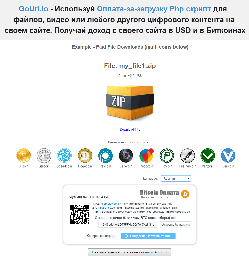 php-pay-per-download-bitcoin-ru.png