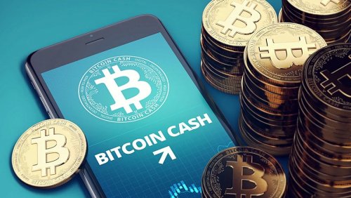 Президент SBI: «я планировал поддержать Bitcoin Cash до того, как произошел форк»