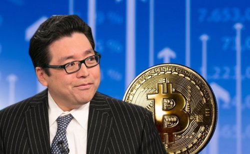 Том Ли: 2019-й станет годом восстановления биткоина