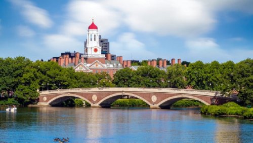 Университеты Гарварда, Стэнфорда и Массачусетса инвестируют в криптовалютные фонды