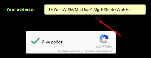 wildbtc.name.jpg