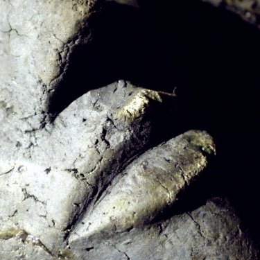 post-2149-0-83198500-1364852323_thumb.jpg