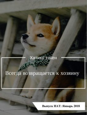 хатико.jpg