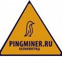 PingMinerКалининград