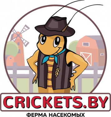 crickets_by_final_with_background_flattened.png