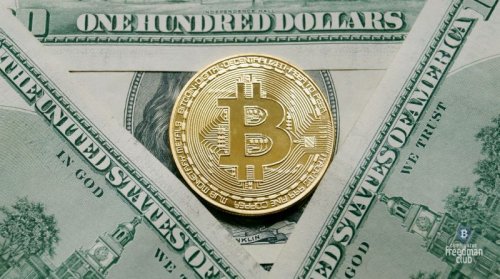 ekspert-bitcoin-budet-stoit-50000-dollarov-v-etom.thumb.jpg.78c66c331996d16e514edabb5233dd1a.jpg