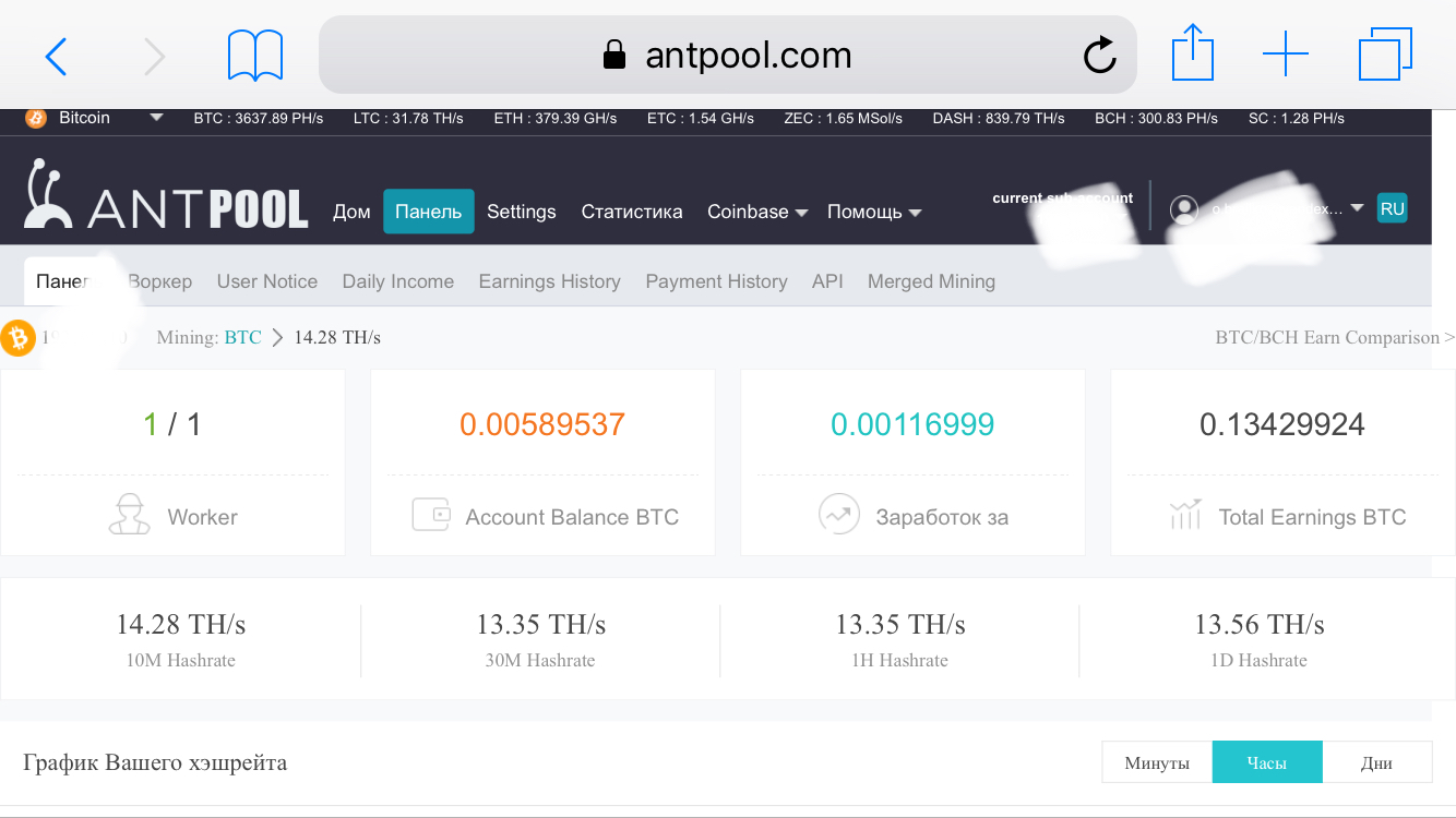 Ваше расписание. Antpool. Антпуул. Antpool RVN. Antpool вход.