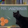 Salem Saberhagen