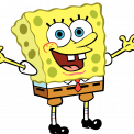 Sponge