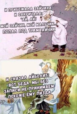 зайка.jpg