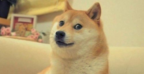 Doge-580x299.jpg