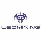 LeoMining