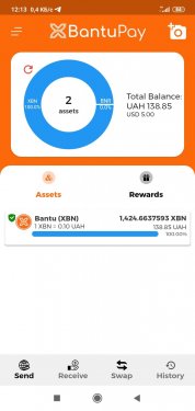Screenshot_2020-12-17-12-13-17-171_org.bantufoundation.bantupay_wallet.BantuPay.jpg