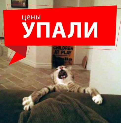 original.thumb.jpg.a30676f3626ee9855aa933d79f223d28.jpg