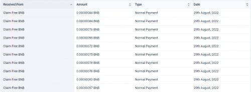 bnb-payment.thumb.png.fd99de7156c43f3c1628a9c1c186cbd1.png