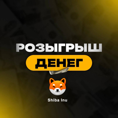 Shiba1.thumb.png.8bef790da2ceafd1797ce76c2959040c.png